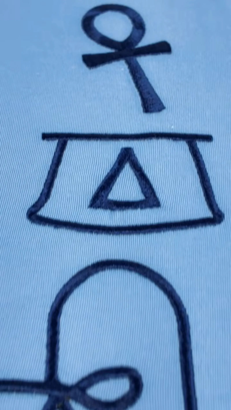 Embroidered Cotton T Shirt
